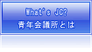 青年会議所とは